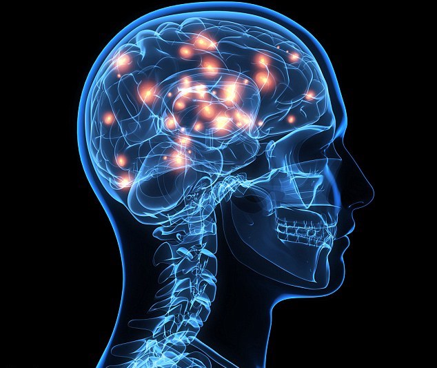 Boosting Brain Fitness-Understanding the Brain and Exercise: