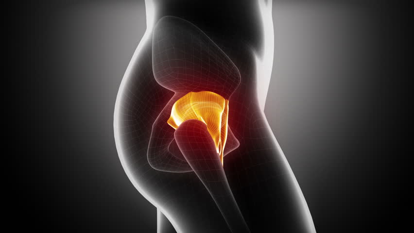 Relative from Real – Trail Hip in Gait: Sagittal Plane: