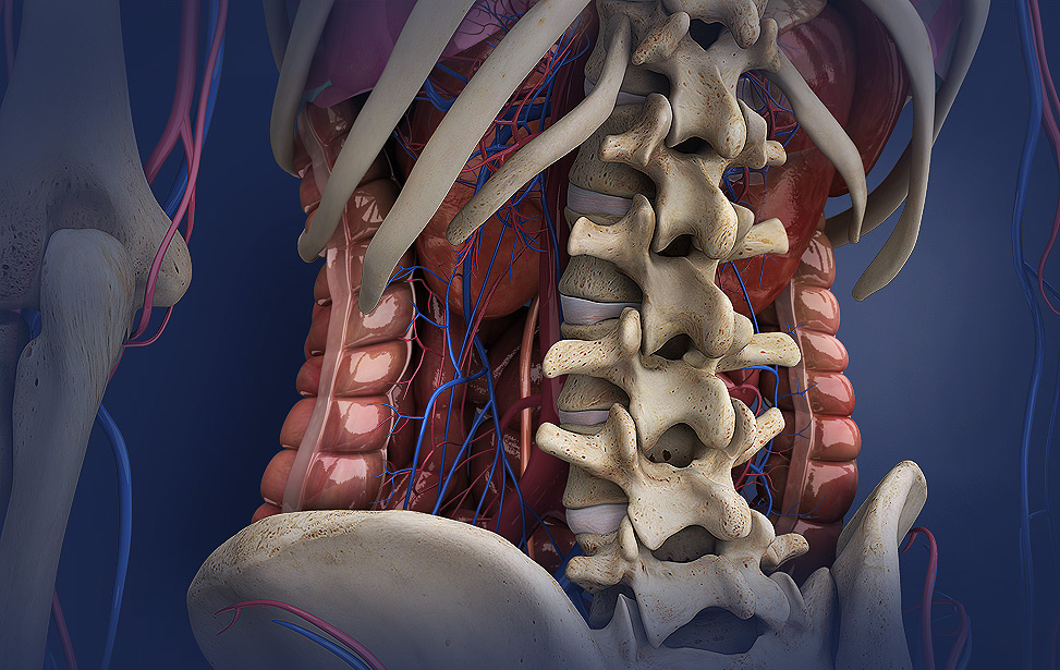 Preventing Low Back Pain: