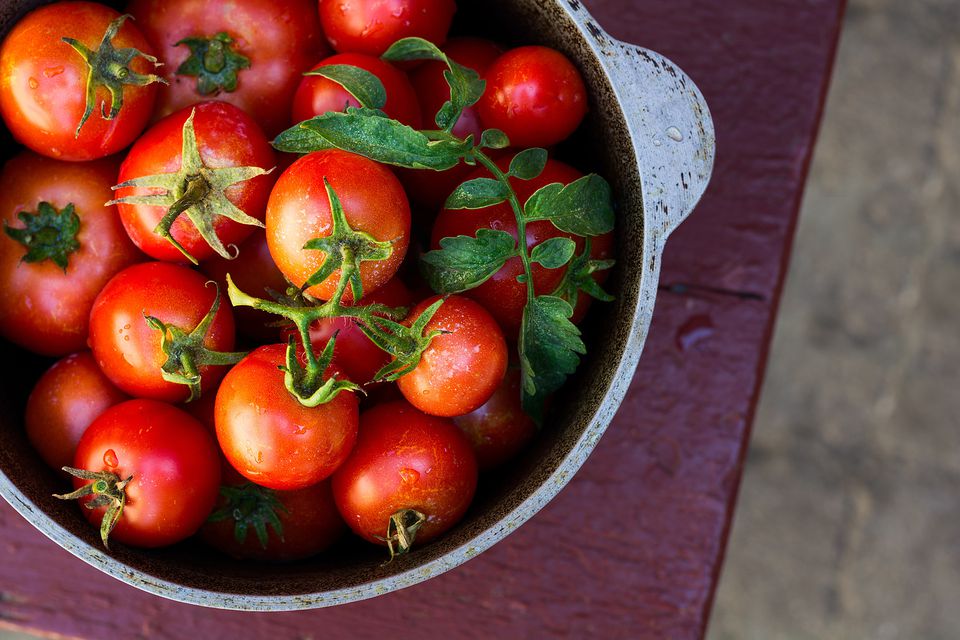 SNACKS TO AVOID TRAVEL BLOAT: