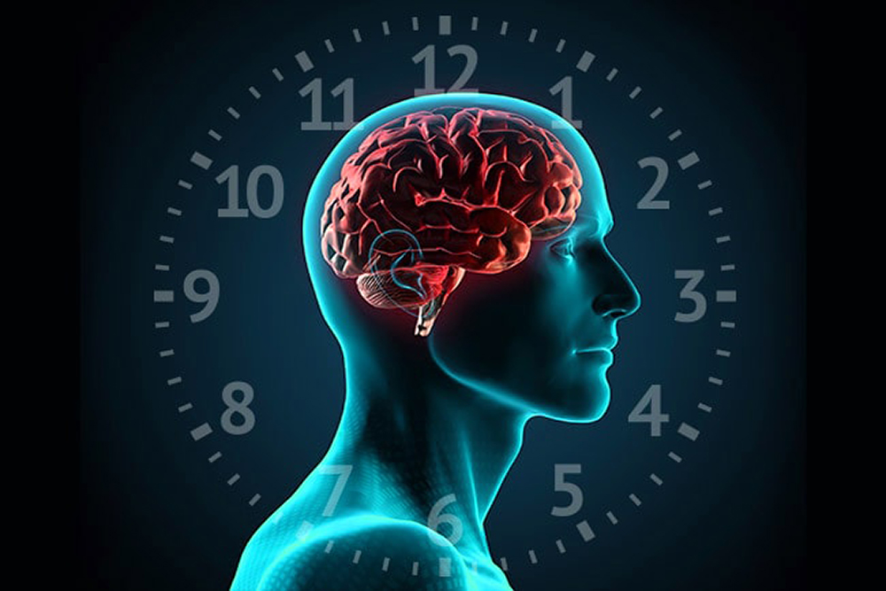CIRCADIAN RHYTHMS: HOW TIME OF DAY AFFECTS QUALITY OF TRAINING:
