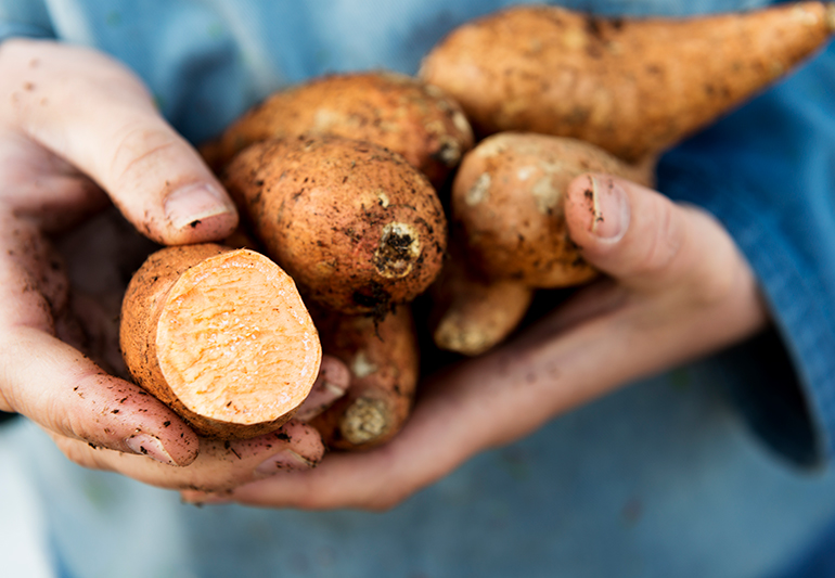 Sweet potatoes vs. potatoes: Which are really healthier? [Infographic] :