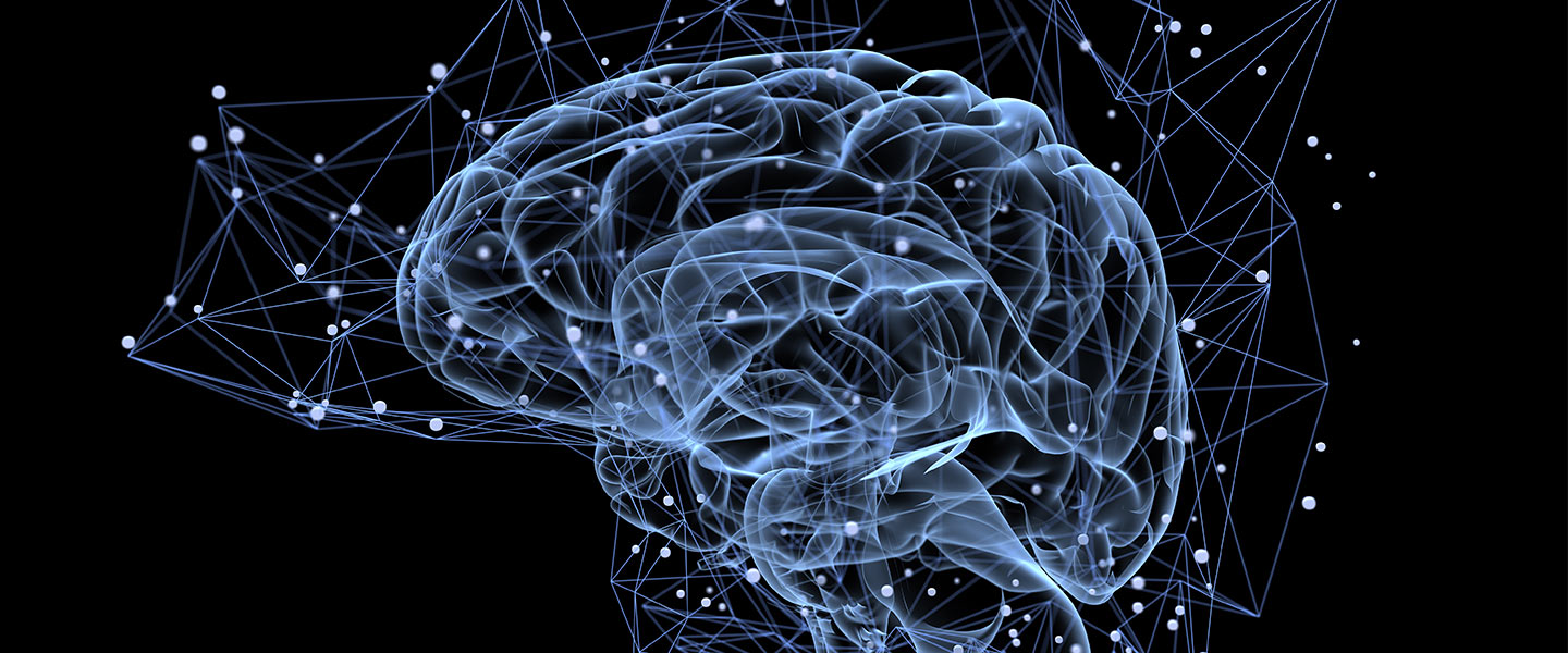 What’s that study REALLY say? How to decode research, according to science nerds: