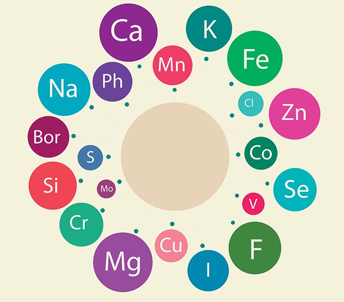 micronutrients-featured-image