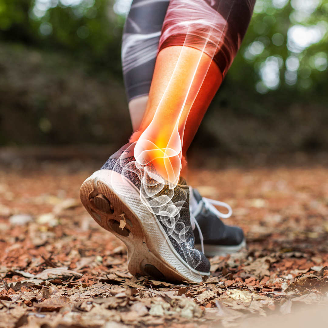 AFAA Sustaining Mobility and Movement – Foot, Ankle and Knee