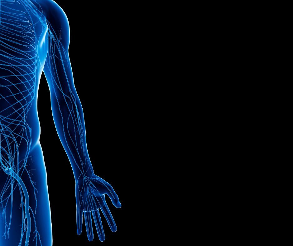 PODCAST: ABOUT THE NERVOUS SYSTEM: