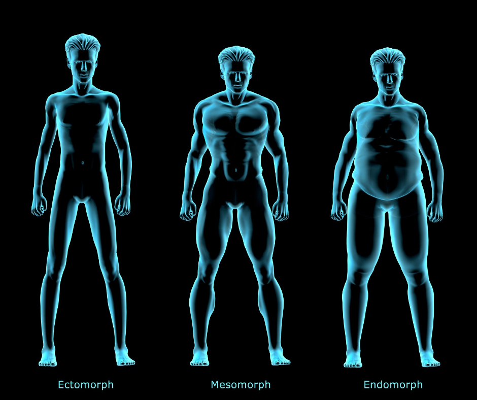 BODY TYPES: HOW TO TRAIN & DIET FOR YOUR BODY TYPE