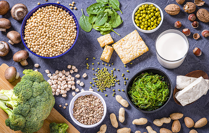 Various kinds of vegan protein sources