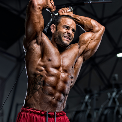 NASM Guide to Body Building