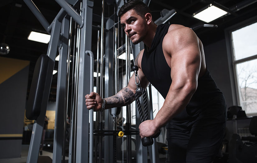 bodybuilding-divisions