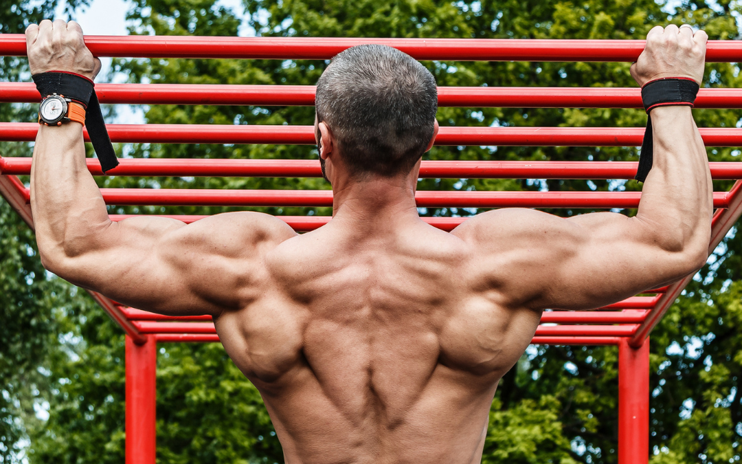 Chin Ups versus Pull-ups, the difference, the benefits, the muscles worked