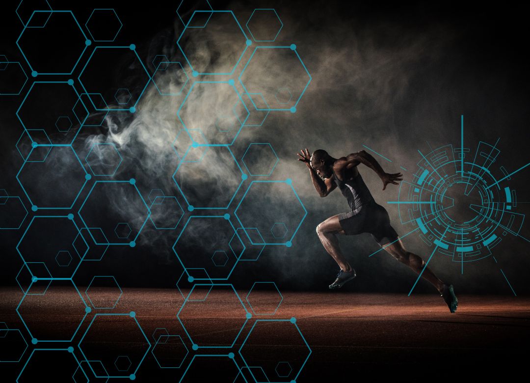 2024 Fitness in Review